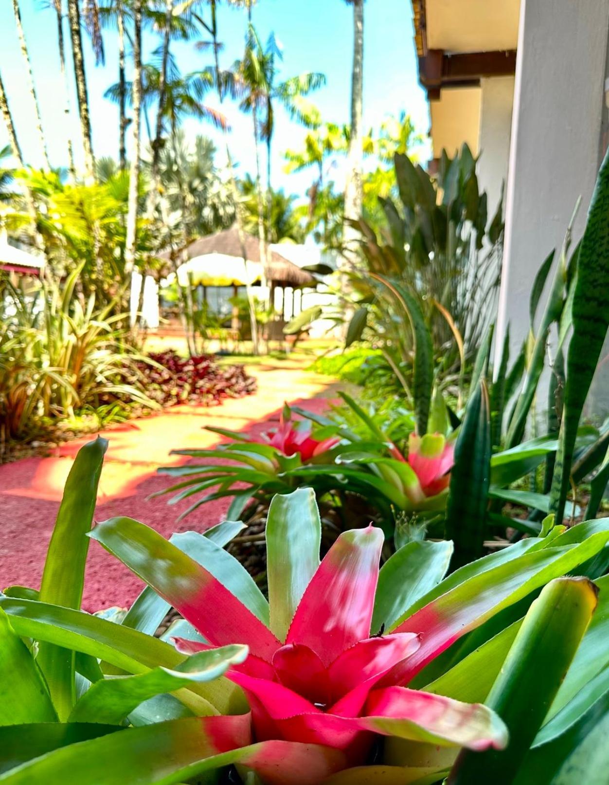 Pousada Casa Paradiso Guaruja Hotel Exterior foto